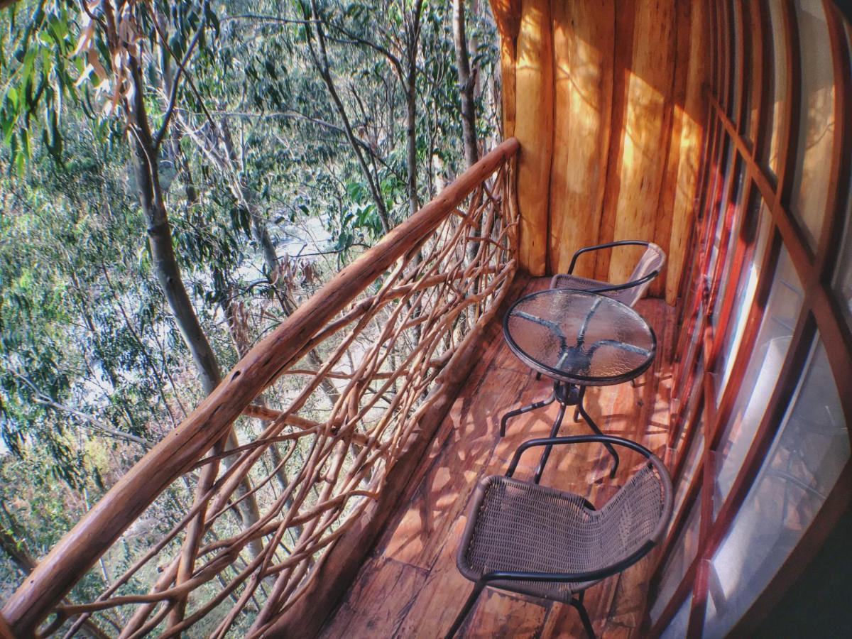 Eco Quechua Lodge Santa Teresa  Εξωτερικό φωτογραφία