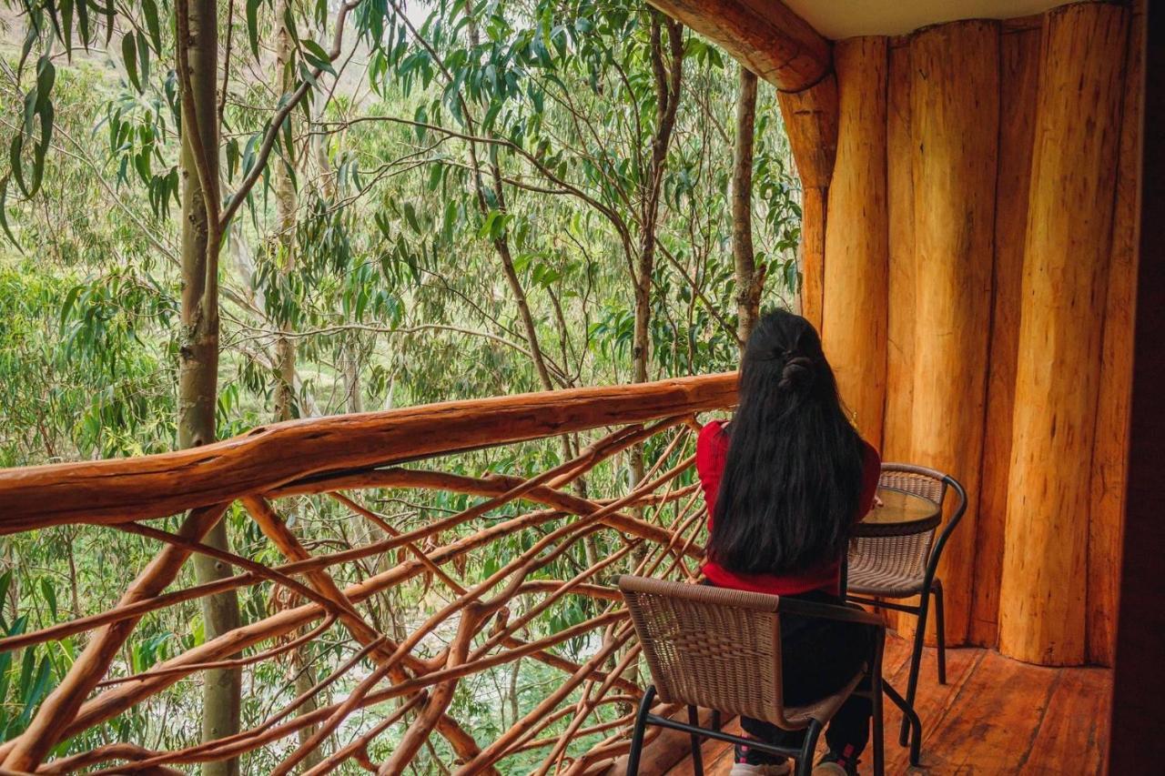 Eco Quechua Lodge Santa Teresa  Εξωτερικό φωτογραφία