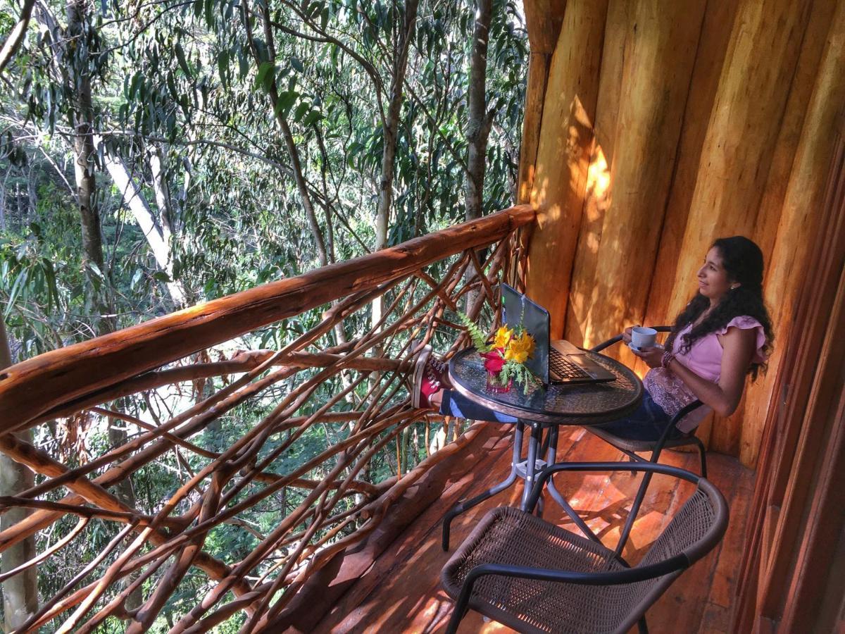 Eco Quechua Lodge Santa Teresa  Εξωτερικό φωτογραφία