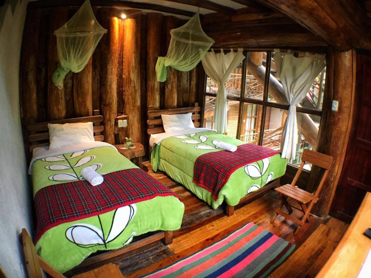 Eco Quechua Lodge Santa Teresa  Εξωτερικό φωτογραφία
